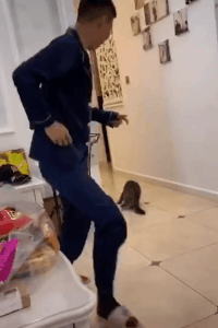 很搞笑的GIF图：媳妇没想到吧，丈母娘来了！