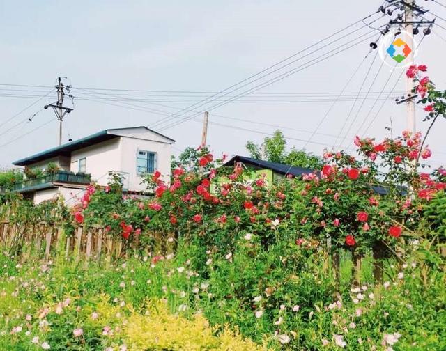 只有重庆本地人才知道：超小众景点打卡地，趁着人少赶快来