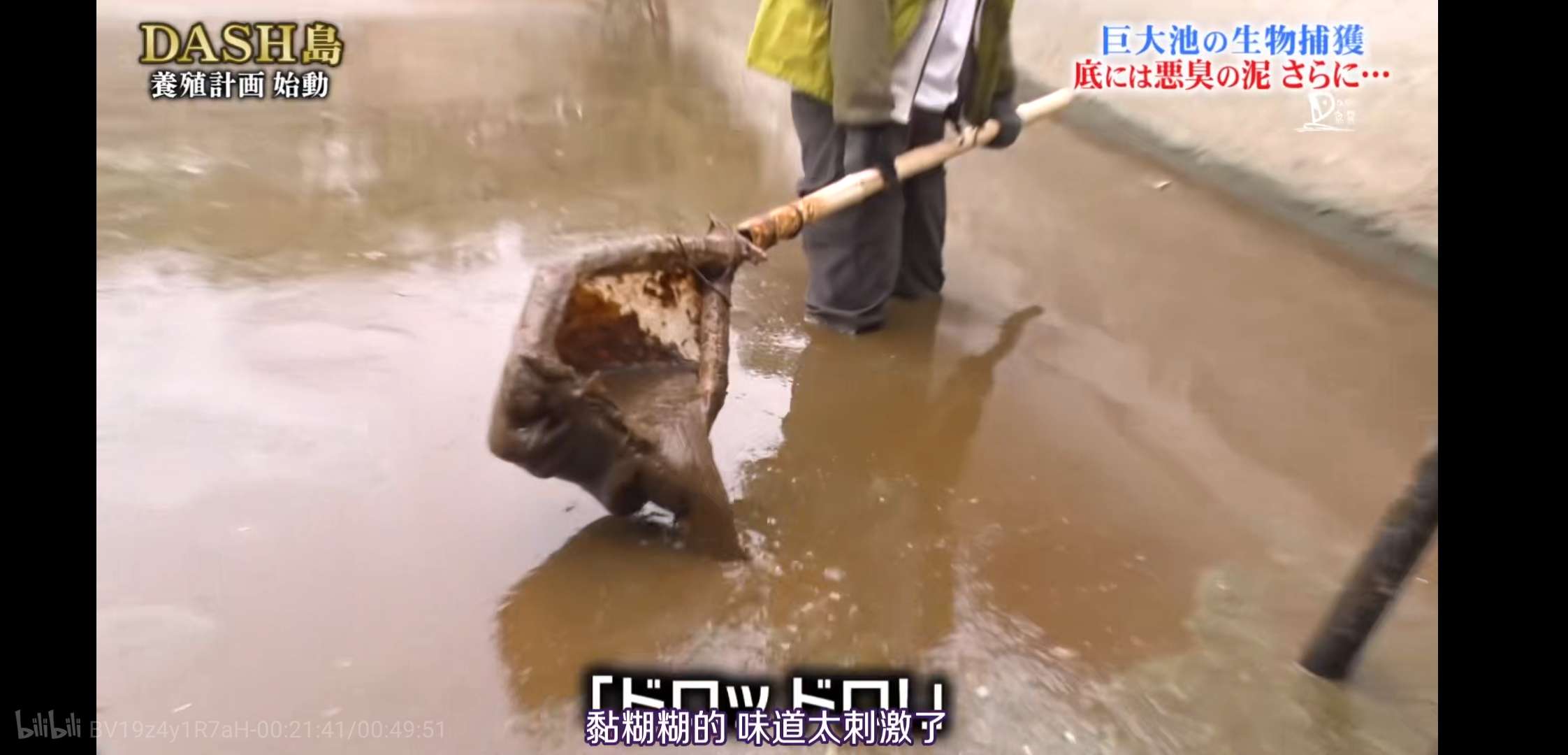 慎入！超恶心！看了这个日本综艺，我的晚饭都