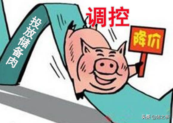 猪价连跌有“猫腻”，调整心态莫恐慌，后市行