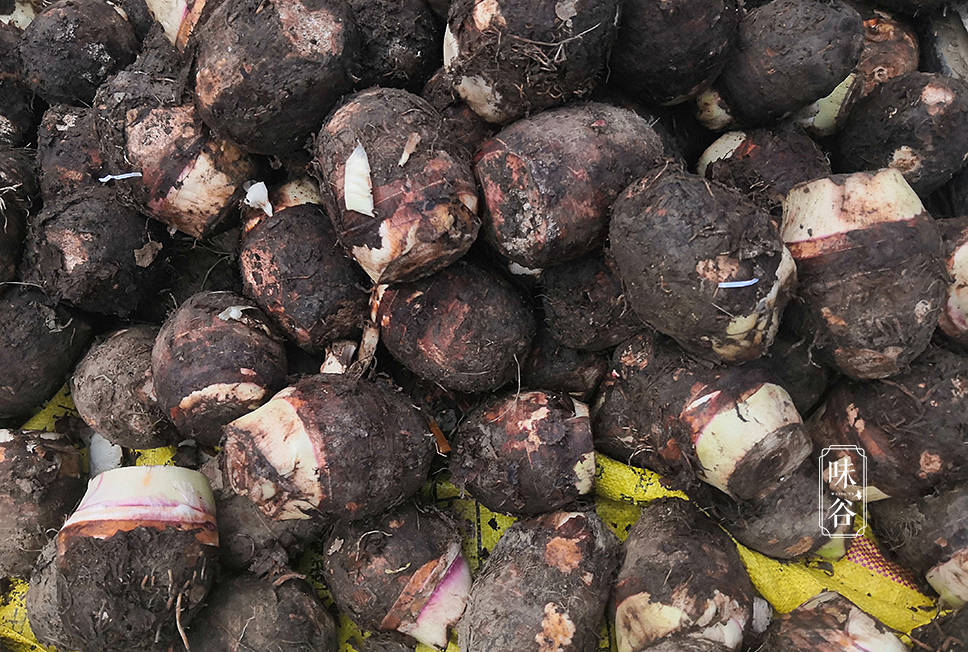 买芋头时，直接挑重的拿就错了，牢记4点，芋头粉糯香甜，真实用