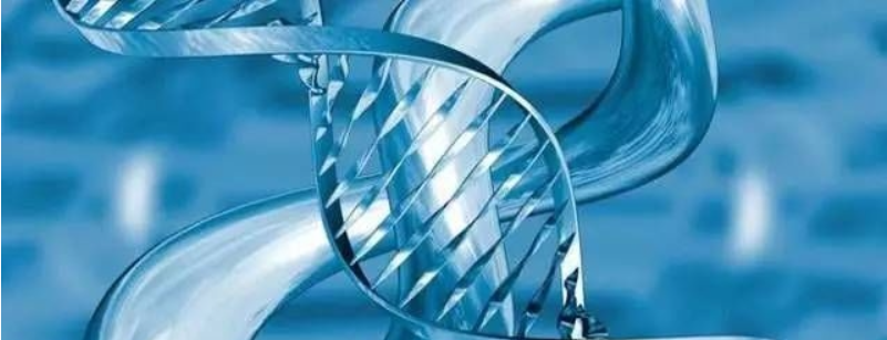 “抗老成分”三巨头：视黄醇、胜肽、玻色因，功效作用谁更强？