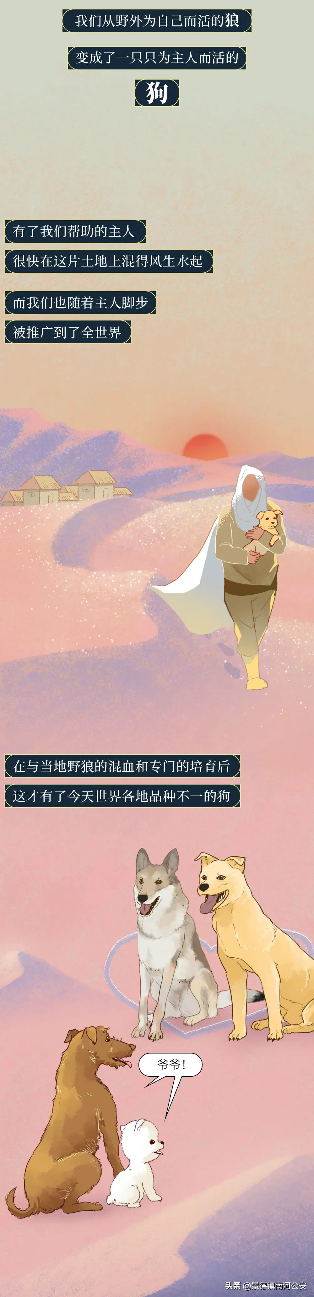 你凭什么看不起中国土狗？