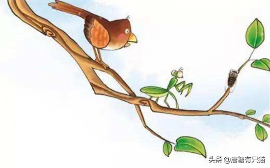 女主人秘密被小偷撞见后掉进温柔乡不能自拔…