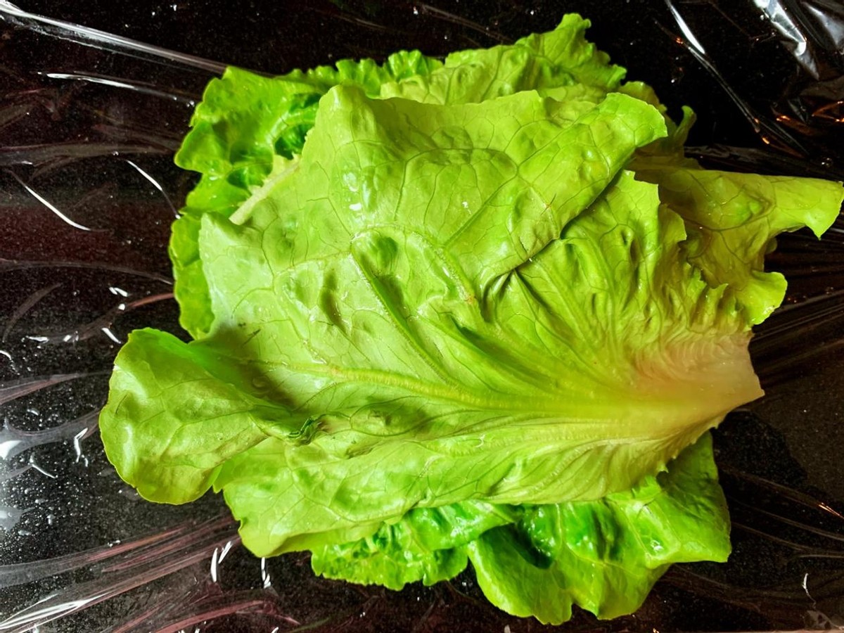 明星同款三明治做法如此简单，跟着关晓彤，学会健康瘦身