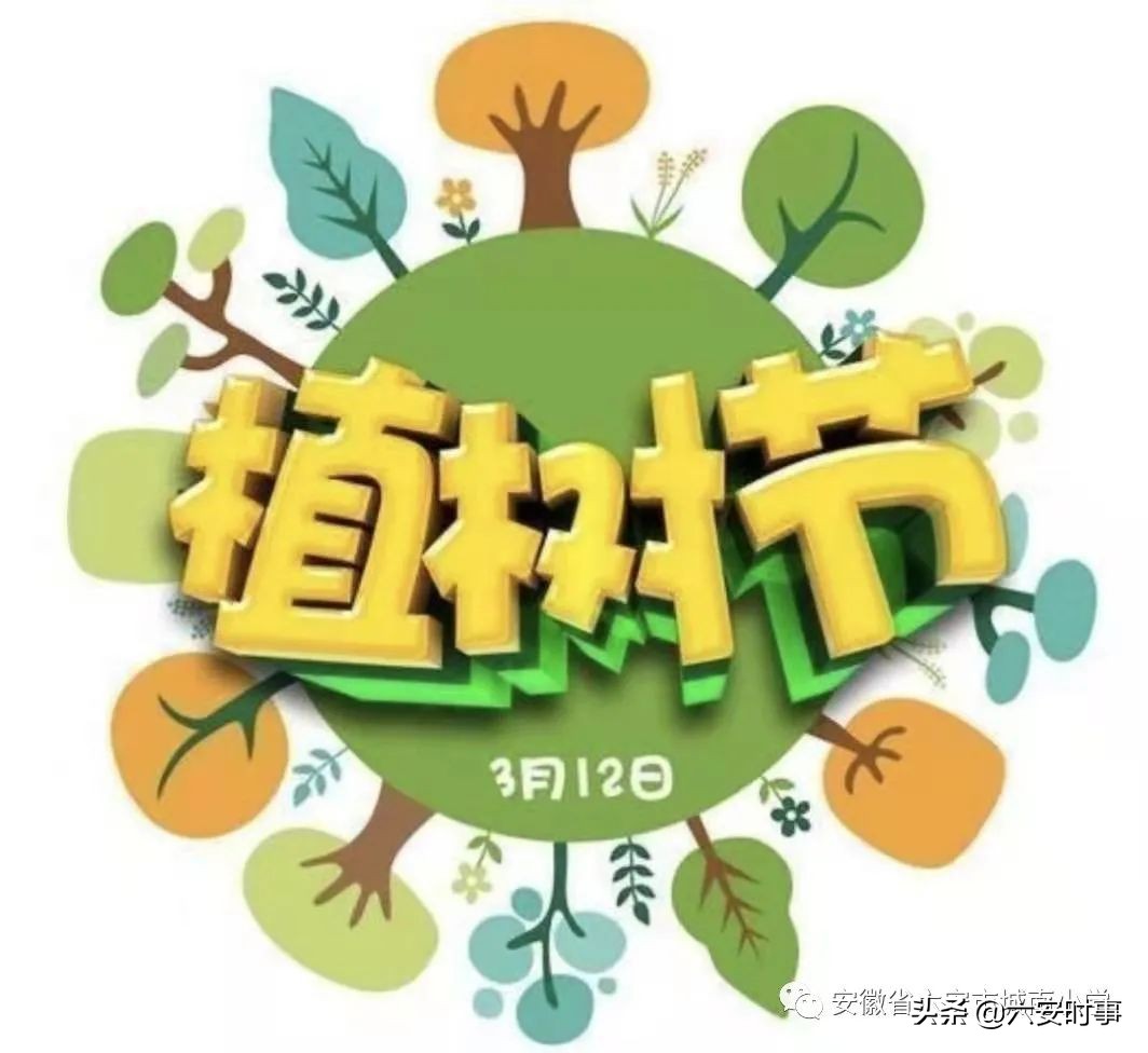 ӵ������ ������ɫ���������г���Сѧֲ���ڻ