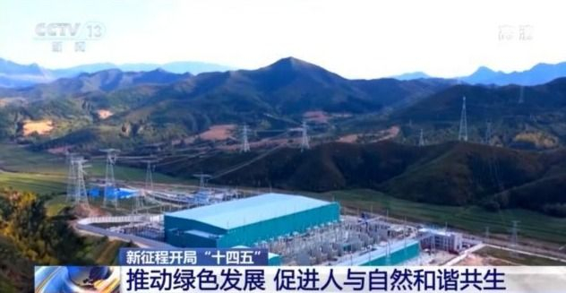 新征程开局“十四五”推动绿色发展 促进人与自然和谐共生