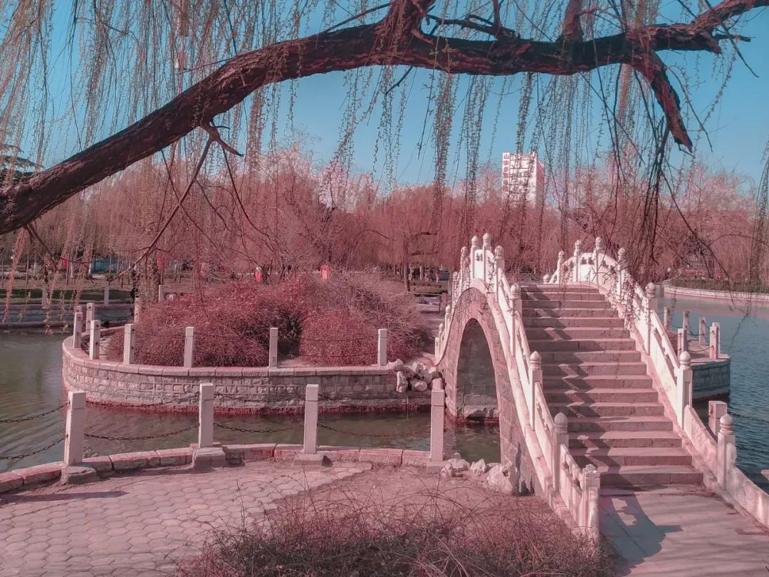古代最幸运的10位诗词大神，只流传下来一首诗词，却成千古名作-第1张图片-非凡网