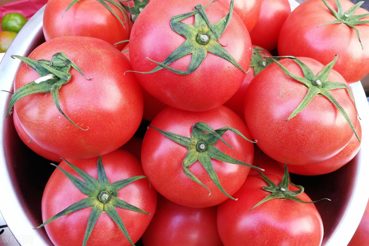 Save tomatoes in summer, don't put them in the refrigerator, teach you