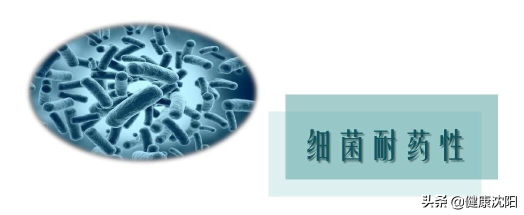 健康知识普及行动系列科普知识讲座之合理用药篇