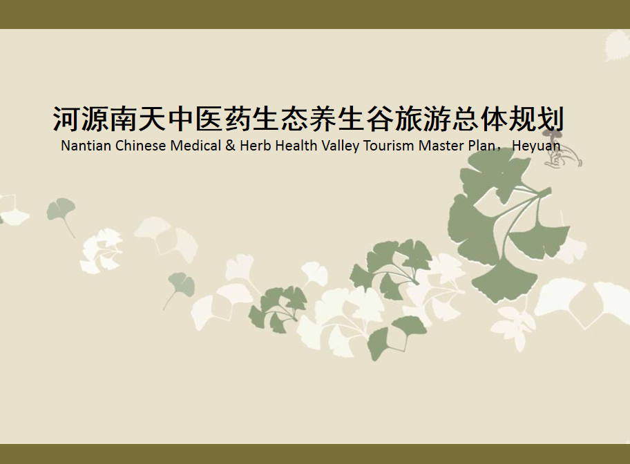 商业计划书｜实现中医药生态养生旅游商业计划书案例