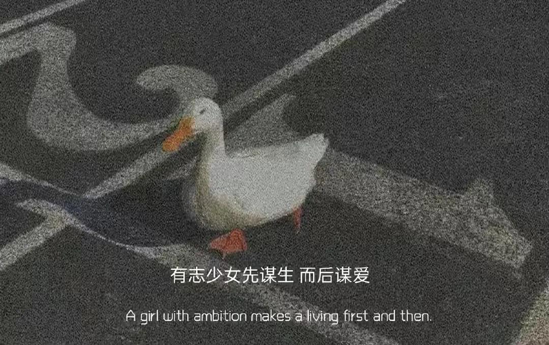 朋友圈｜情感文案图