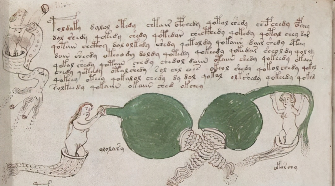 天書《伏尼契手稿》，至今無人能解，裏麵的圖太怪異了伏尼契