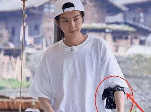 有纹身不能上节目！各位明星出奇招，吴尊的做