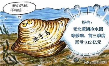 安息吧扇贝！股民如何看穿他的财务造假？