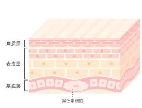 有了这几张图，还怕看不懂护肤品里的成分表吗？