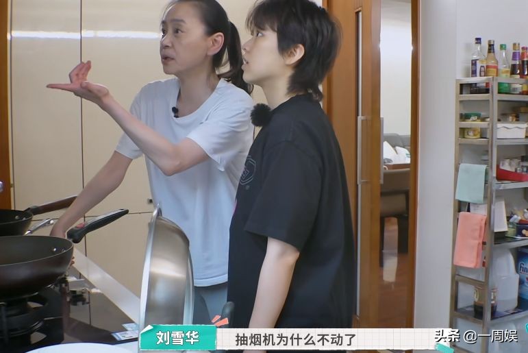 62岁刘雪华独居生活曝光，老公去世10年，保姆跟司机陪伴晚年
