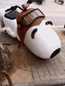 搞笑动图GIF：你是不是不想活了，竟然打扰我的好事儿