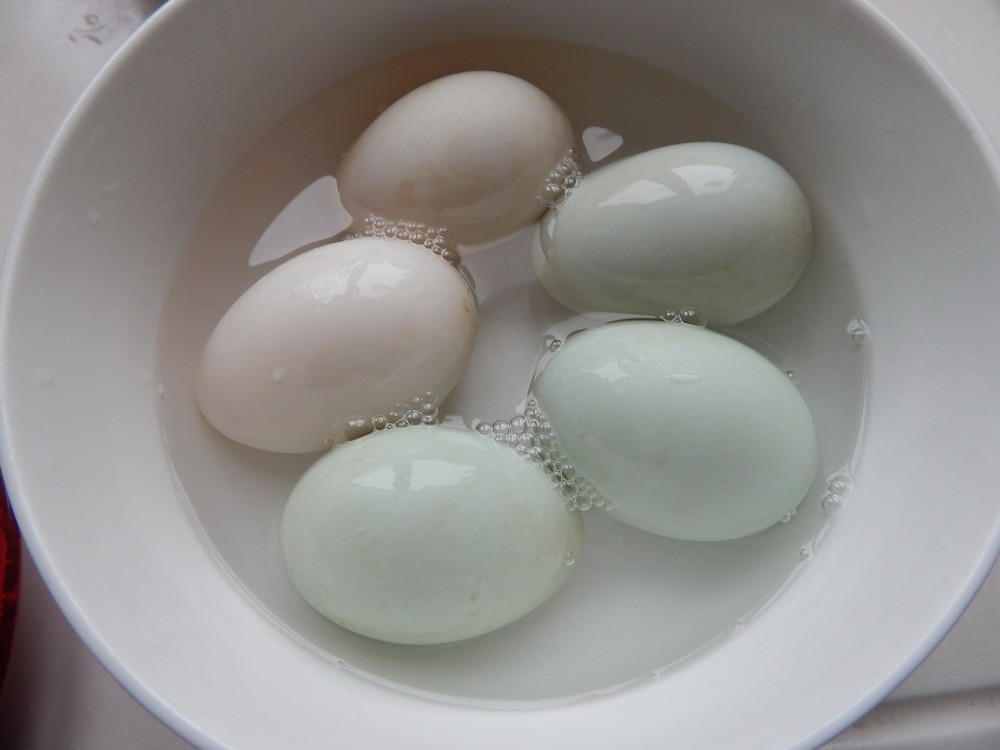 醃鹹鴨蛋有妙招，不用黃泥，不用鹽水，乾淨簡單，個個流油起沙