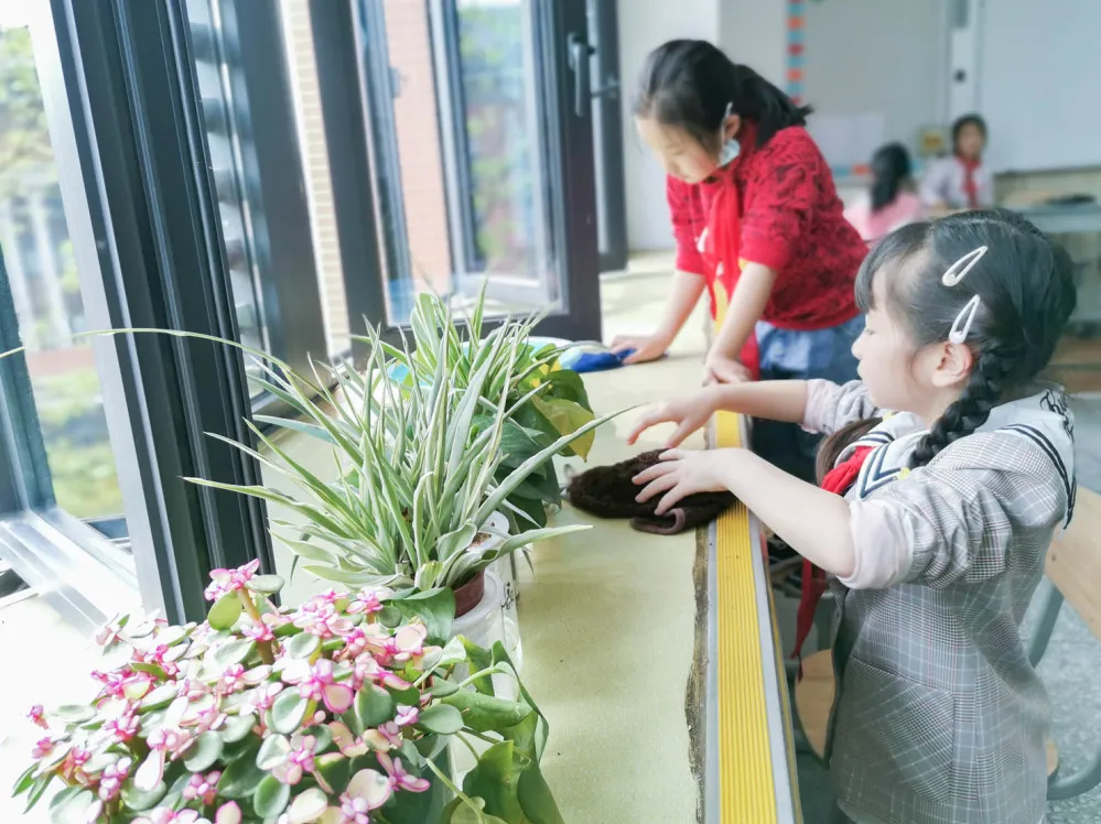 给心灵一片晴空 让生命蓬勃绽放丨双流黄水小学开展心理健康教育