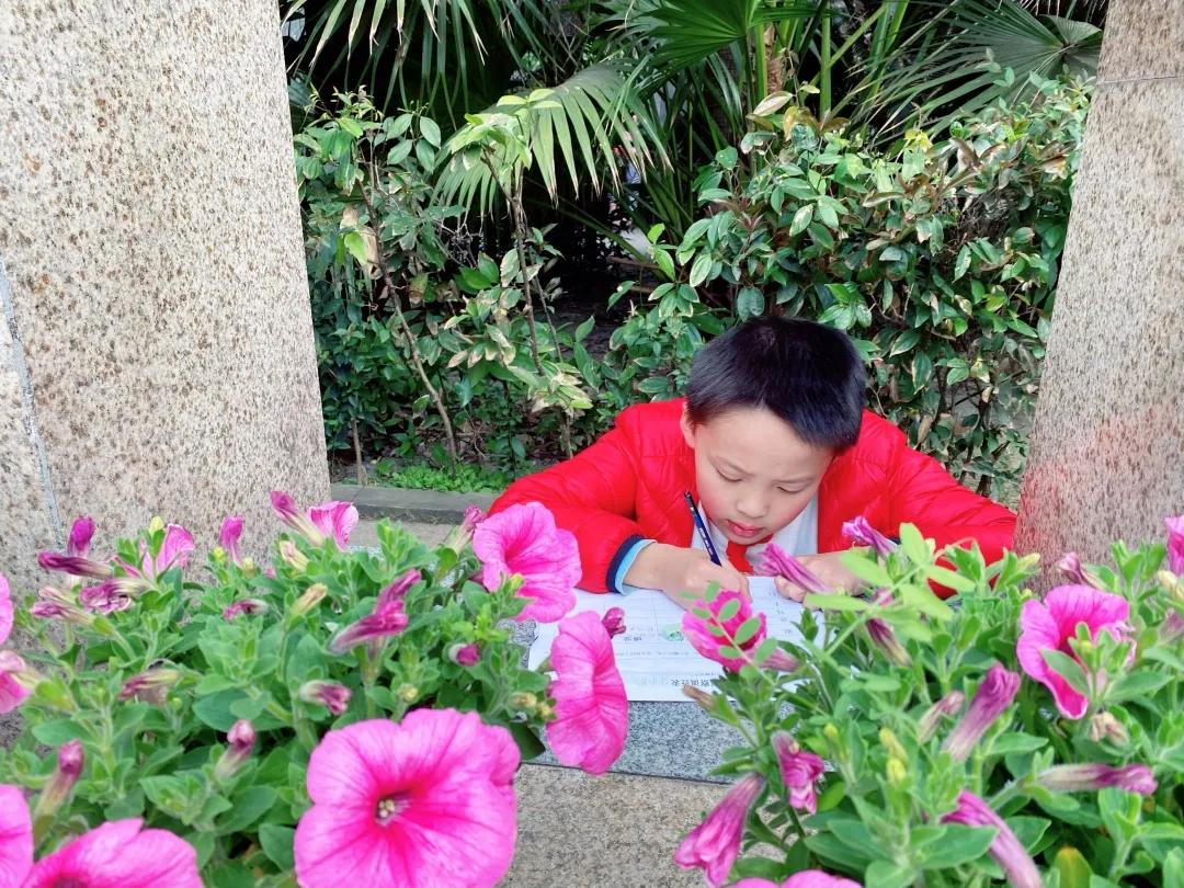 带上五官到校园里寻找春天——成都市华中附小大自然的语文课