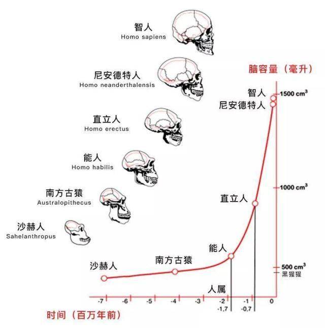 生命起源科普人到底从哪来第一个人是谁
