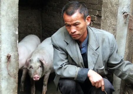 真是没谁了！又来3万吨猪肉，猪价该爆跌了吗？