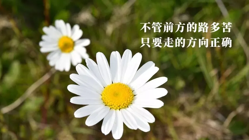 最新的早上问好祝福图片带字，最真诚的早安问候美图图片