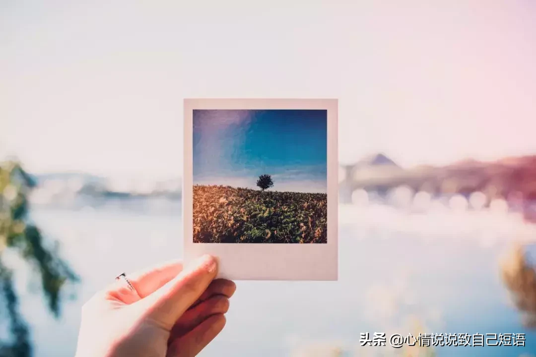 感情正能量励志句子，关于彩虹的正能量经典句子图片