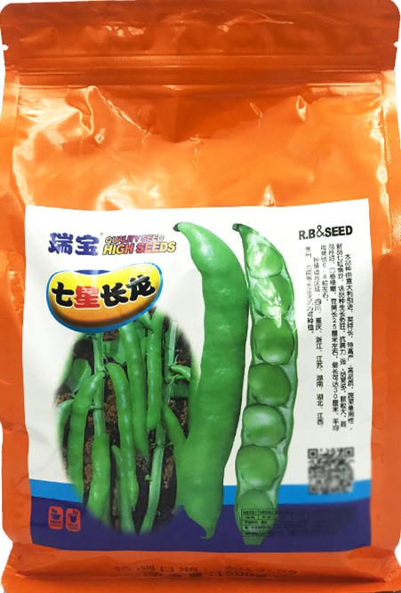 10月种蚕豆高峰！这款新品种，结荚又多又大，特高产！农户快看