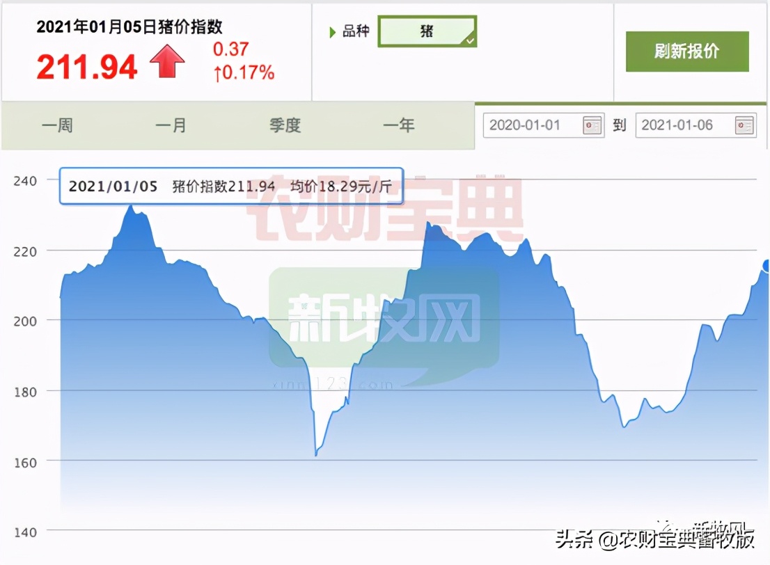 Why does price of near future pig soare? 4 big reasons are worth while and thoughtful! First half of the year or not under 15 yuan / jin ｜ foreknows 2021