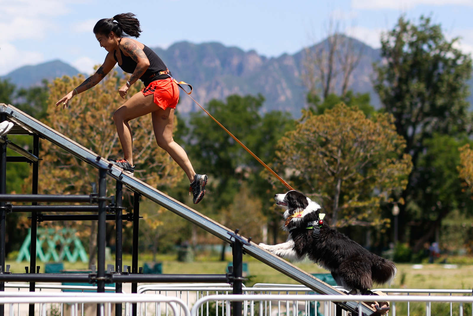 2021狗巴迪勇士赛首站登陆北京 人犬合作征战障碍赛