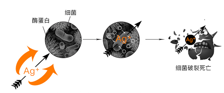 你知道你每天用的毛巾有多脏吗？