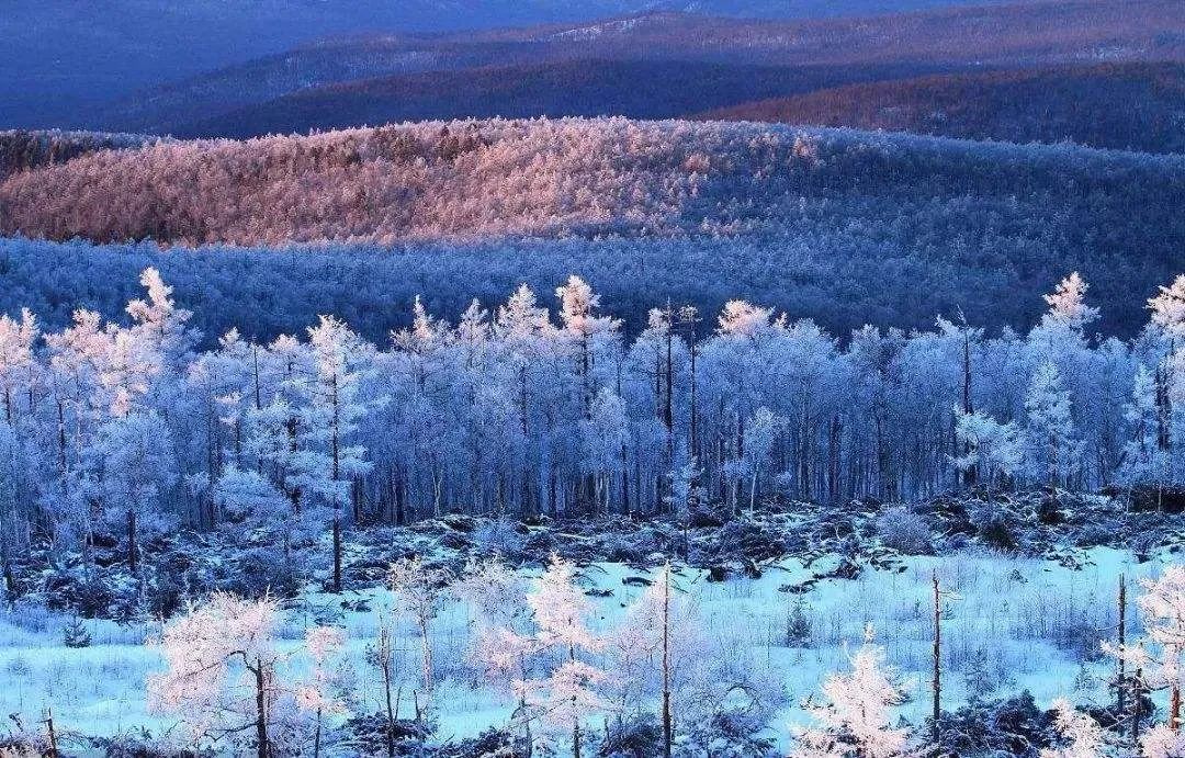 十首冬景的诗词，冬天的景色，在最美的诗词里-第7张图片-诗句网