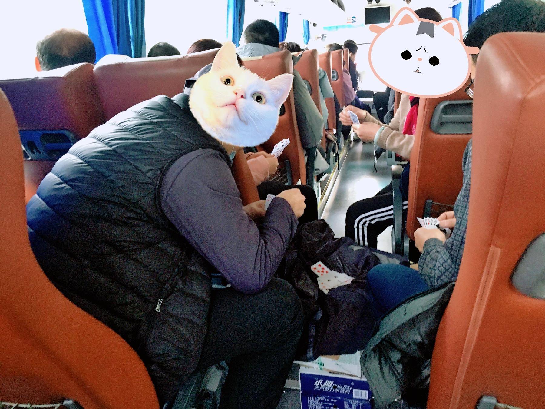 免插卡三网通移动WiFi，每月3000G流量，到哪都自