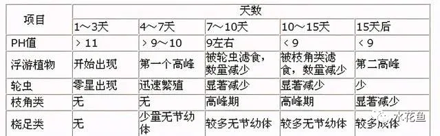 带你认识鱼塘浮游动物——枝角类和桡足类及其暴发危害的应对措施