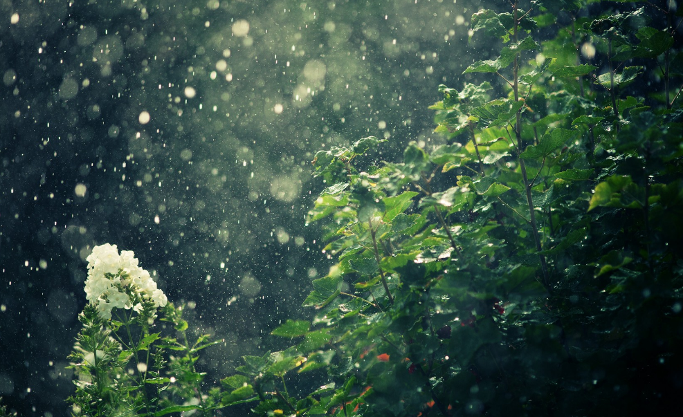 当暴雨遇见古诗词，十五首有关暴雨的诗词，欣赏暴雨的气势与景象?