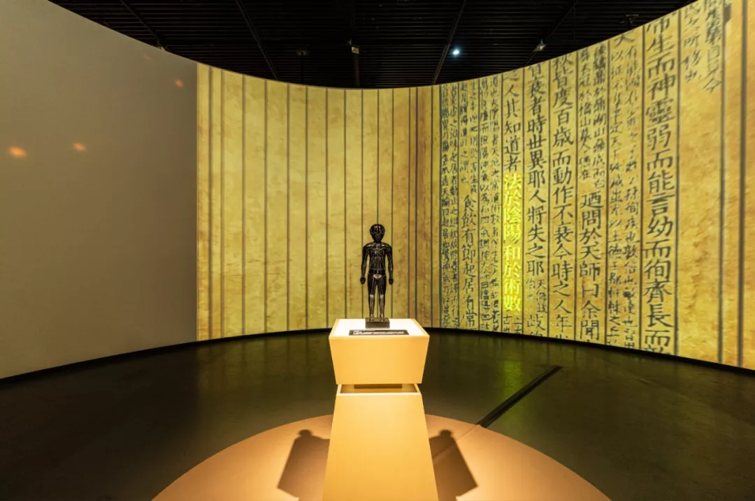 国内首个！中医药出土文物特展，马王堆、敦煌国宝都来了