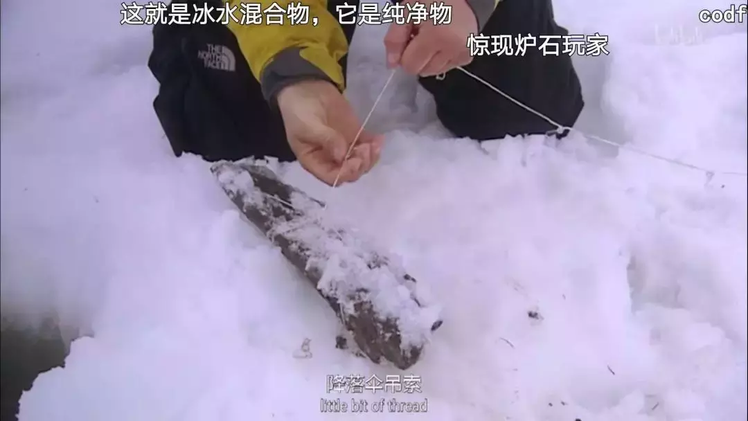 鸡肉味嘎巴脆!盘点《荒野求生》与贝爷的那些梗~