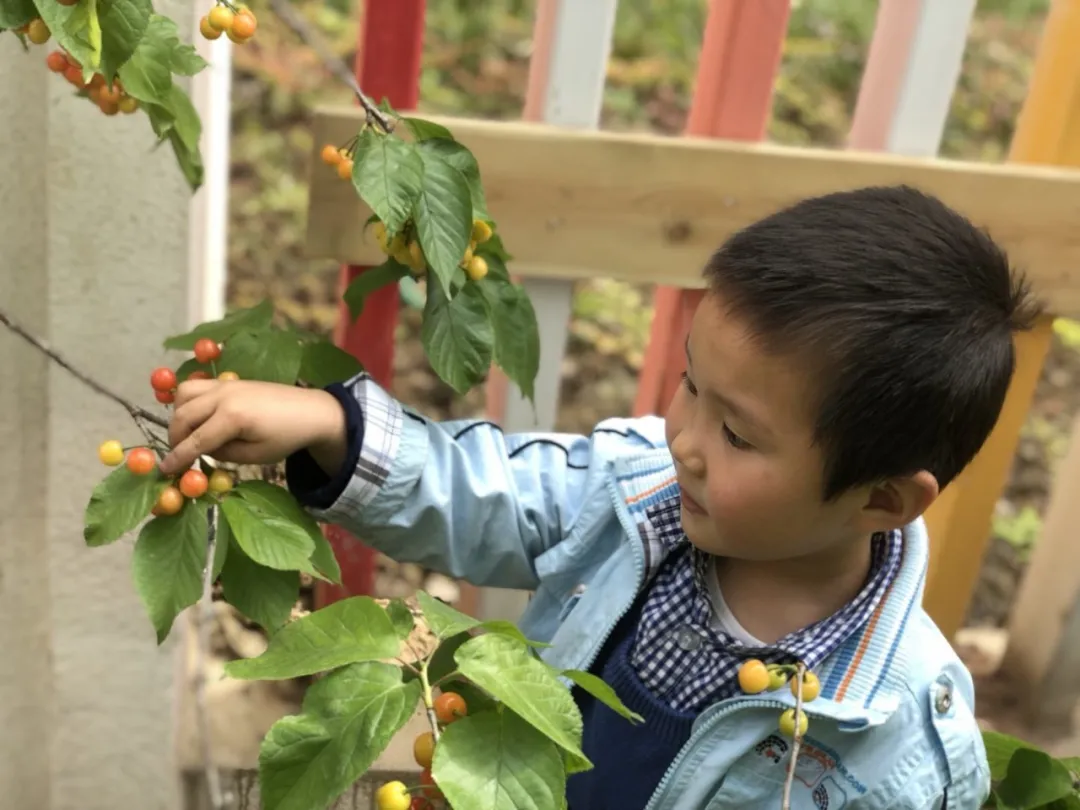 寻春丨 四川天府新区元音幼儿园组织踏春活动