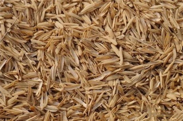 Can chaff be used to grow orchids?It's practical, it can make your ...