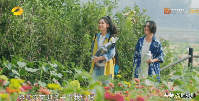 《向往4》迎待遇最好嘉宾，何炅开车亲自迎接，只因彭昱畅面子？