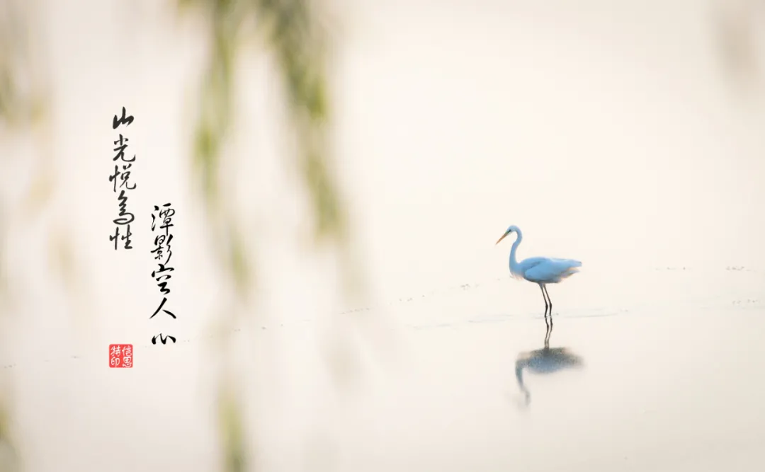 9首宋词小令,短到极致,美到极致-第1张图片-非凡网 9首宋词小令,短到极致,美到极致-第1张图片-非凡网