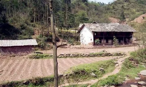 定了！今年起，农村这四种宅基地不能确权