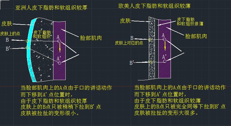 經常有30歲左右的中國美女在歐美被誤認為不滿18歲，為什麽？