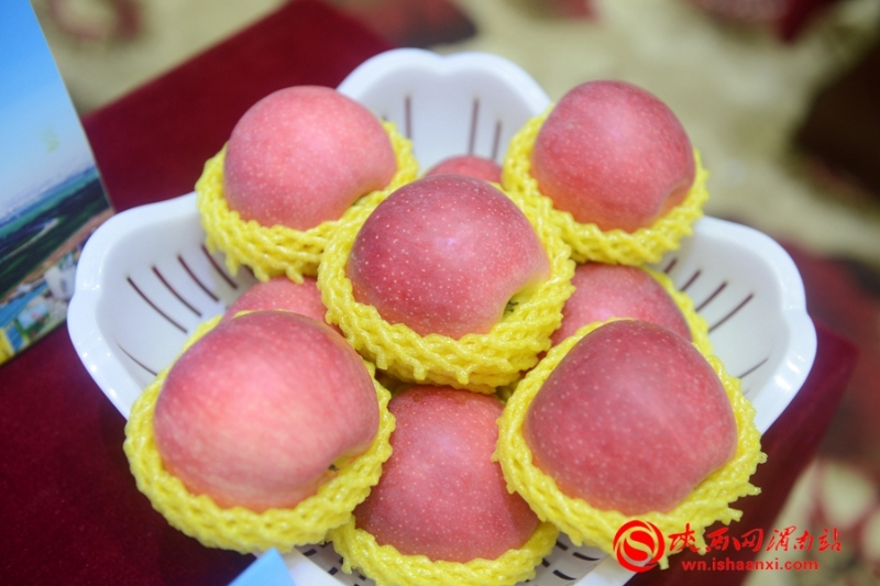 豐收合陽•最美秋色 合陽召開扶貧農(nóng)產(chǎn)品產(chǎn)銷對(duì)接會(huì)（組圖）
