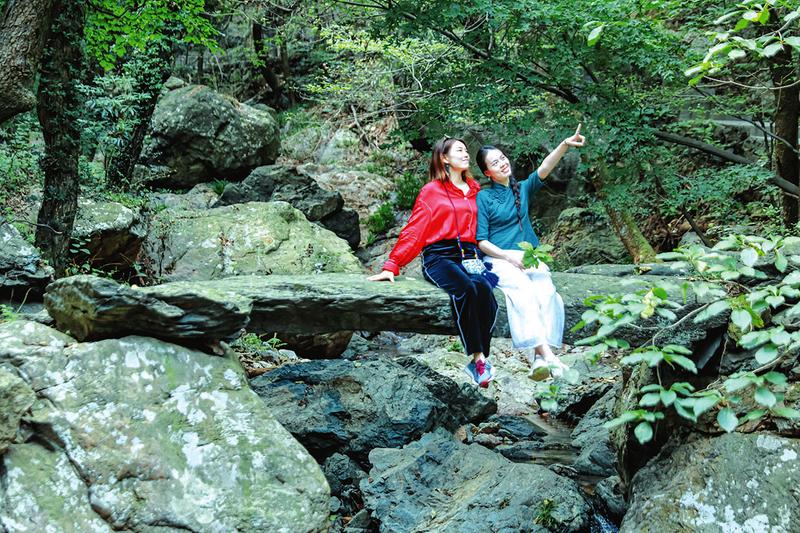 随州：踏春赏花自在行 大洪山里正当时