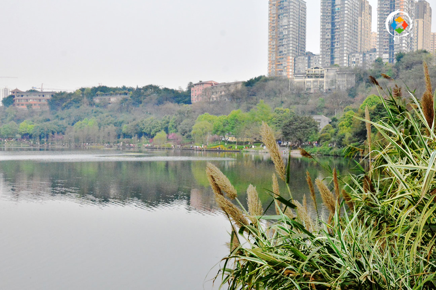 重庆湿地公园你不知道的事，超8成是国家级，很多区县一个都没有