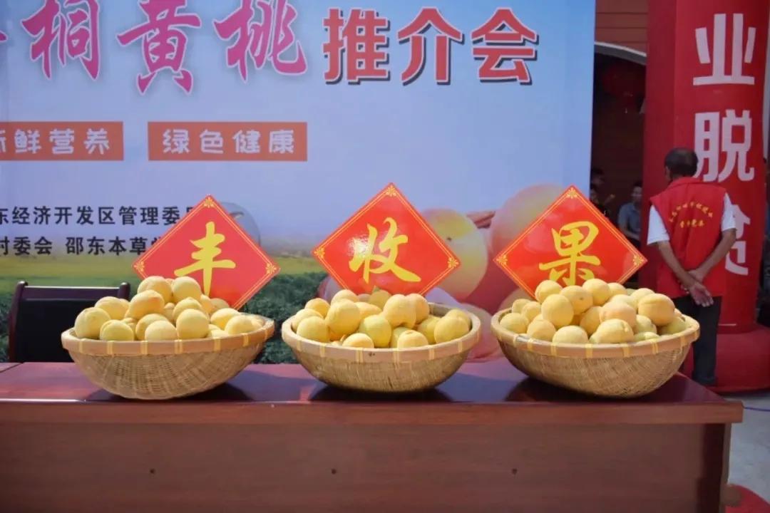 节前慰问贫困户“春风行动”暖人心