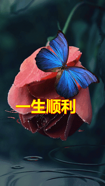 一心一意|正月十一一心一意的祝福送给群里的朋友 越早打开越幸福